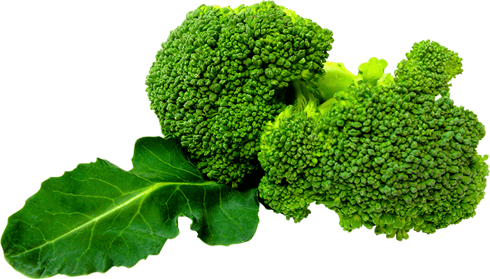 Safal%20Bio%20Seeds
