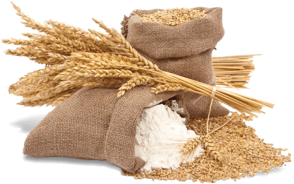 Safal%20Bio%20Seeds